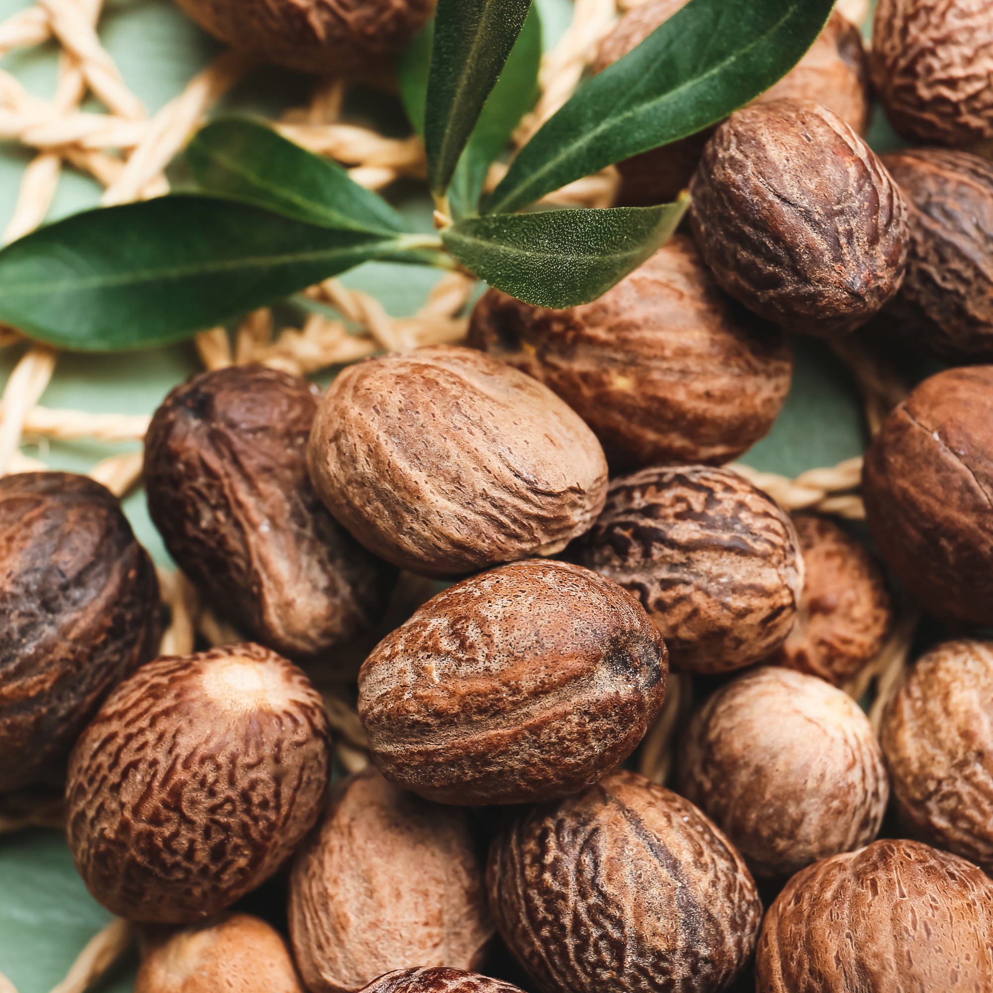 Close-up of nutmegs with a green leaf on a textured surface