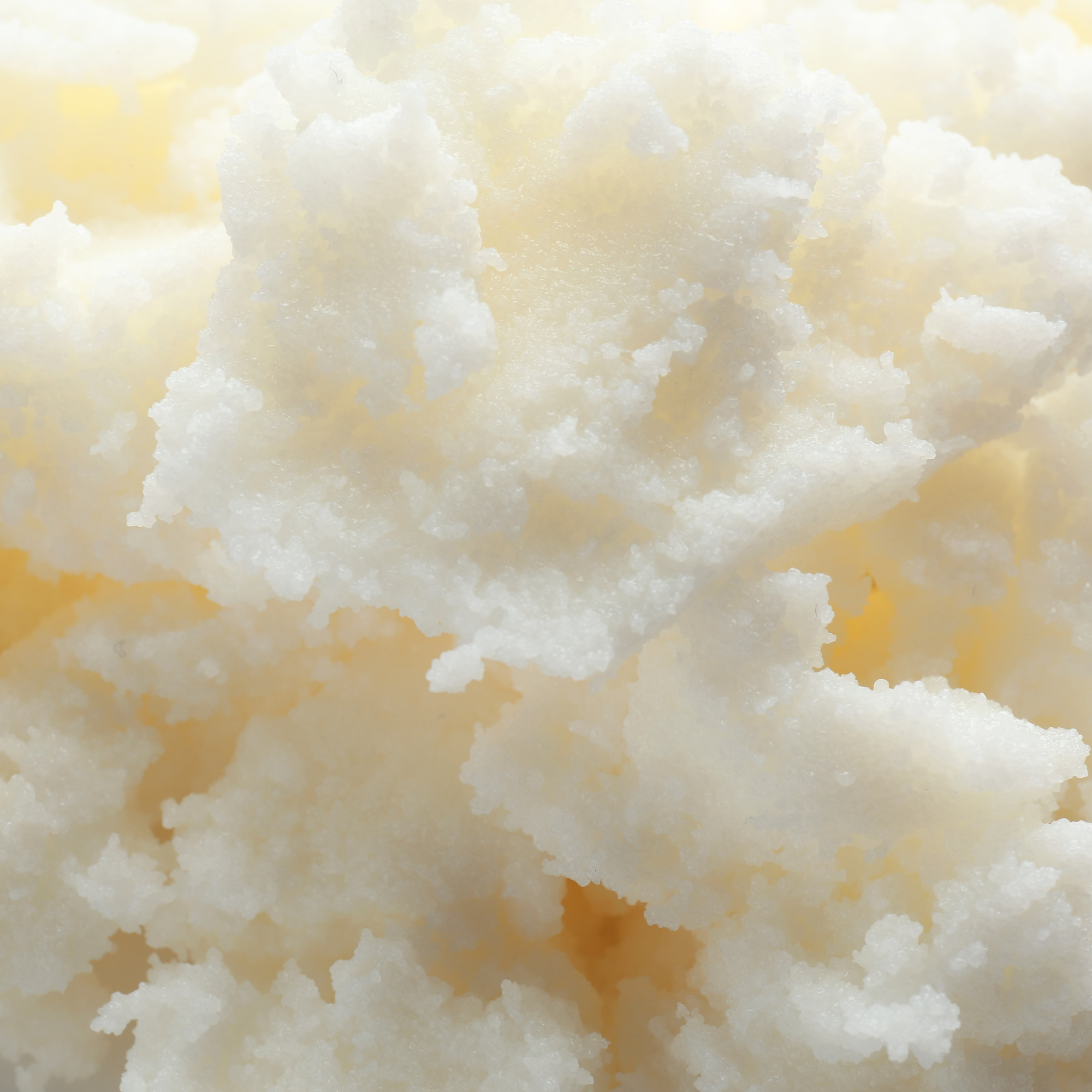Close-up of a block of butter with a soft, creamy texture.